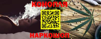 прущие грибы Дубна