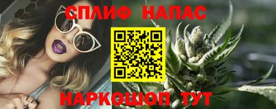 гашик Донецк