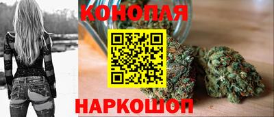 гашик Донецк