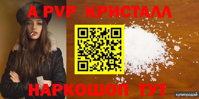 прущие грибы Дубна