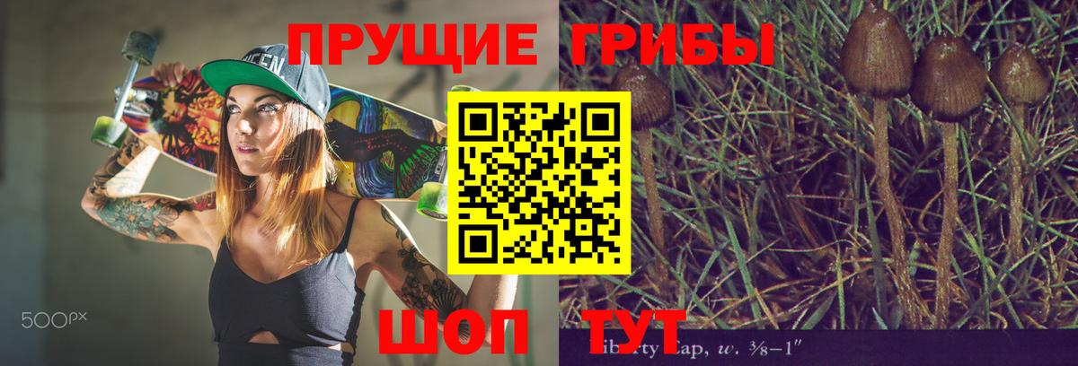 Псилоцибиновые грибы прущие грибы Кондопога